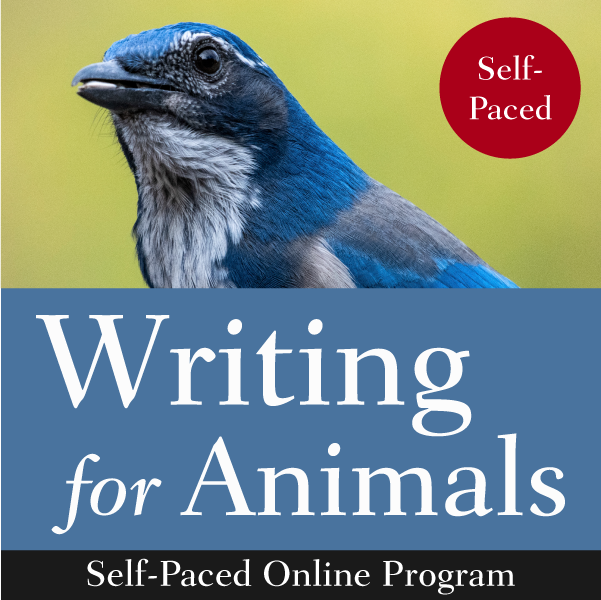 Writing for Animals: A Self-Paced Online Program